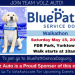 blue-path-service-dogs