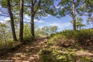 cortland hiking trail