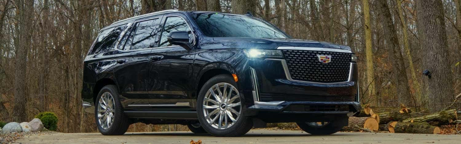 2021 Escalade vs BMW X7