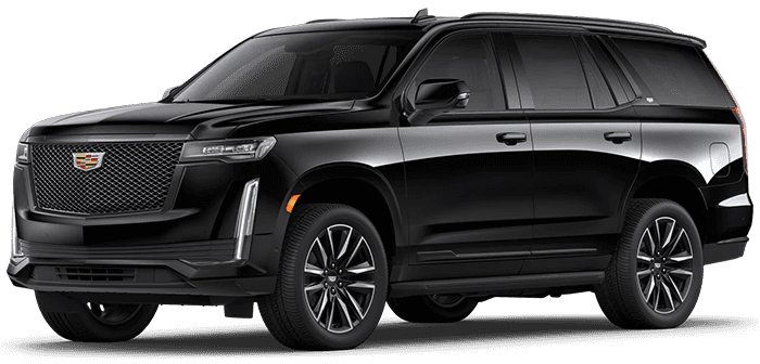 Sport Platinum