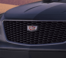 SPORT GRILLE