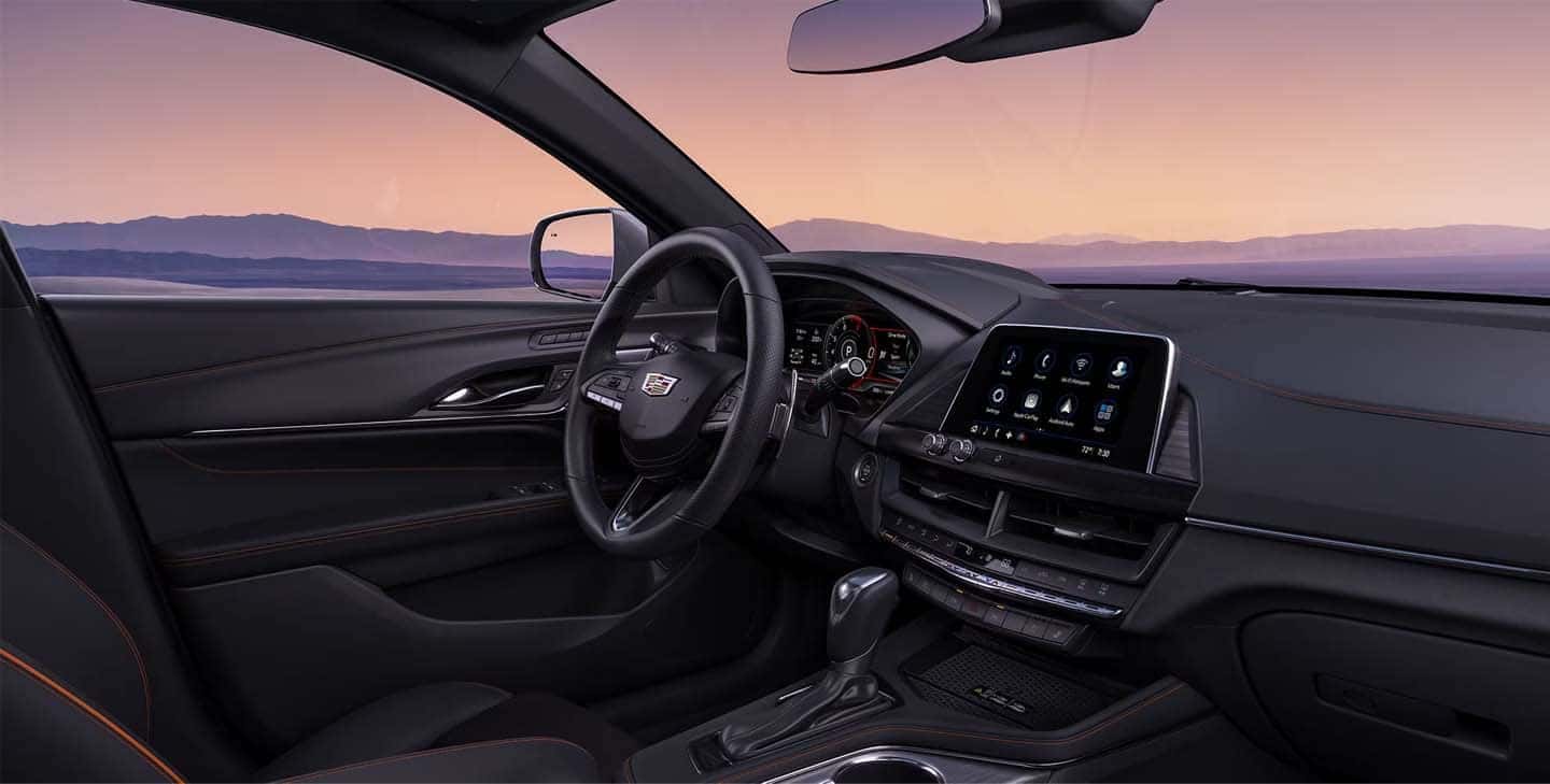 IMAGE-6