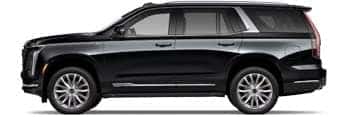 ESCALADE 