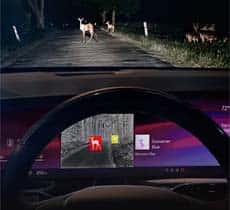 night vision