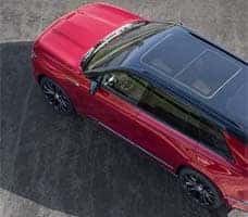 BLACK ROOF

