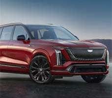 PLATINUM DETAILS TRANSCEND

