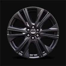 PREMIUM SPORT