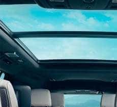DUAL PANE-POWER SKYGLASS ROOF