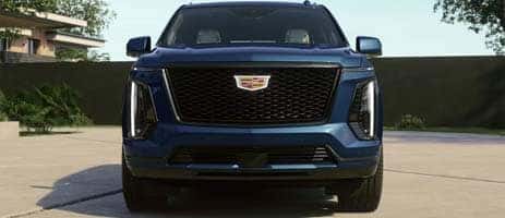 SPORT GRILLE