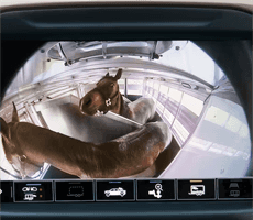 inside trailer view