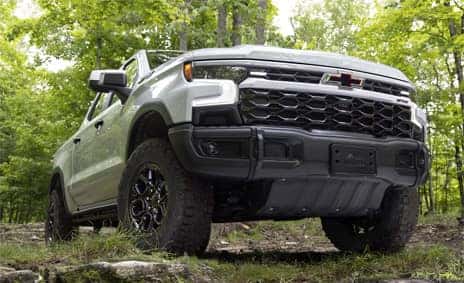 zr2 bison edition