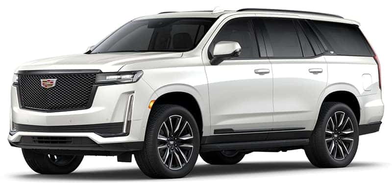Sport Platinum