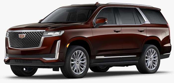 Premium Luxury