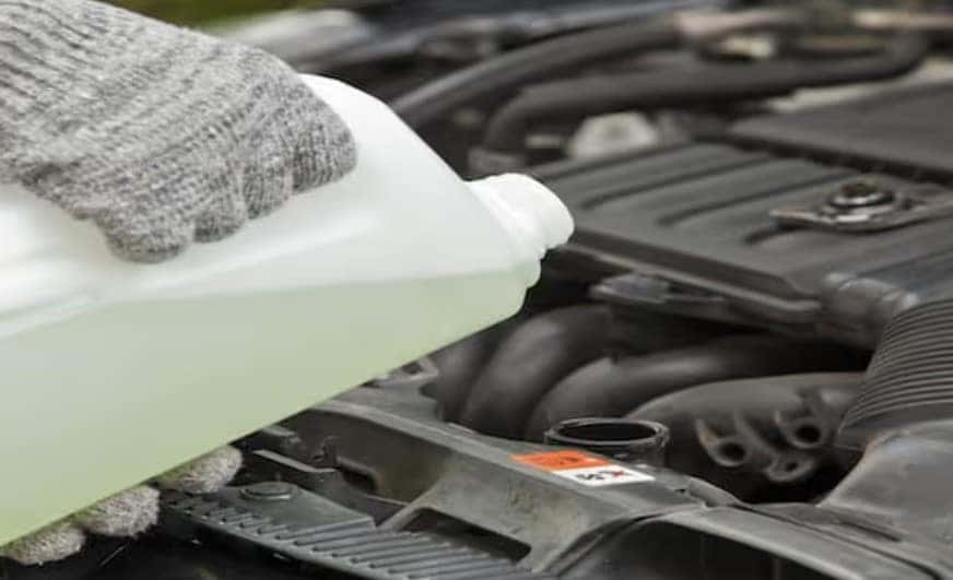Checking engine coolant levels during winter vehicle maintenance