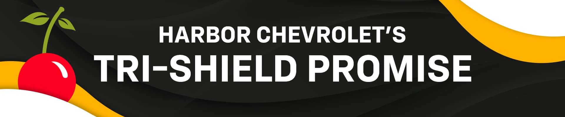 Tri-Shield Promise
