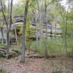 A view of trees and rocks outdoors in Marion, IL