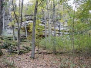 A view of trees and rocks outdoors in Marion, IL