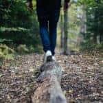 A man walks on a log during a walk through nature in Marion, IL