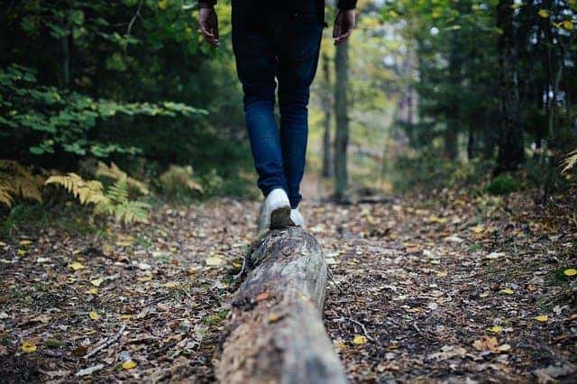 A man walks on a log during a walk through nature in Marion, IL