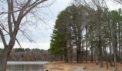 Trees along a river at Crab Orchard National Wildlife Refuge near Marion, IL