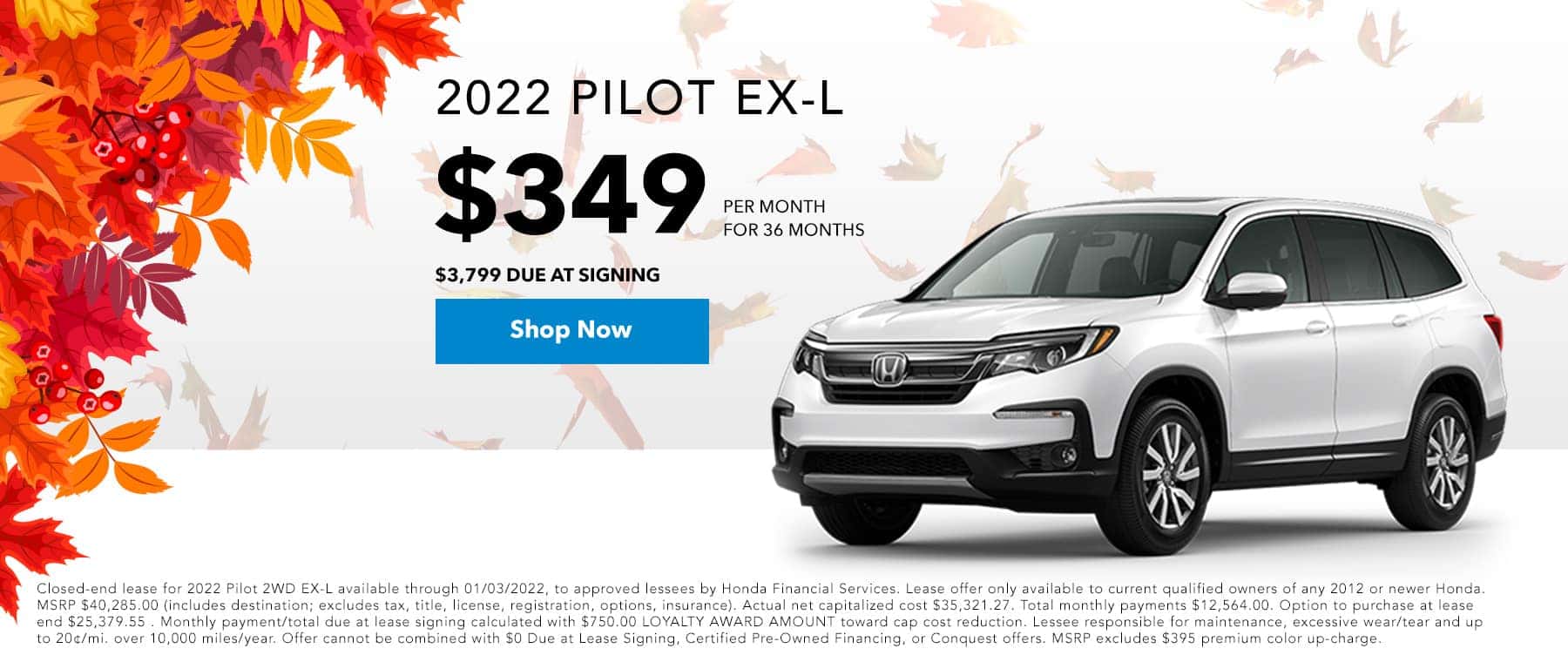 43+ Used car dealerships in carbondale illinois