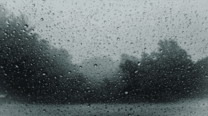 Rainy day view outside of a window in Marion, IL.