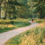 person walking on a path