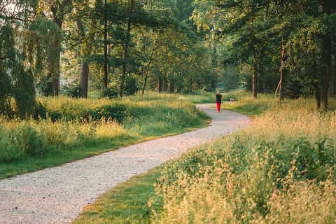 person walking on a path