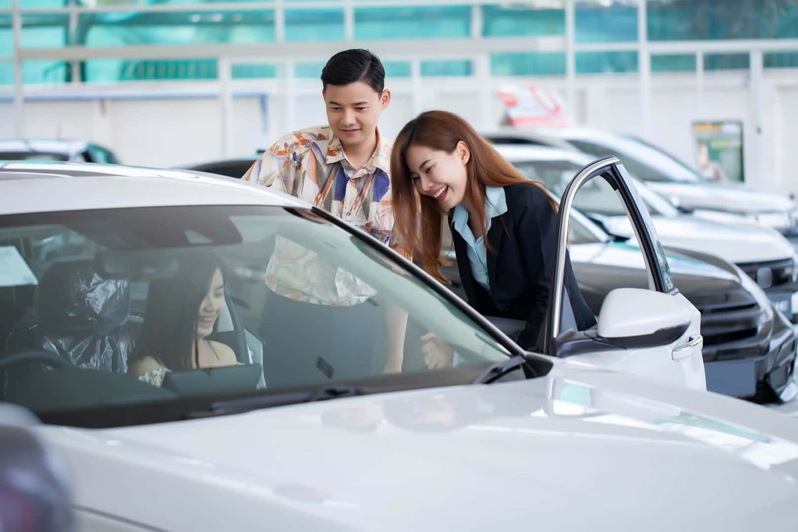 Used Car Dealer 