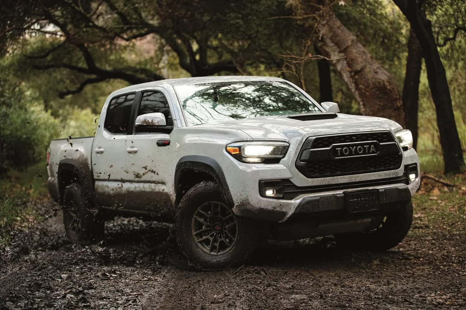 2021 Toyota Tacoma In Orleans, MA | Ira Toyota of Orleans, MA