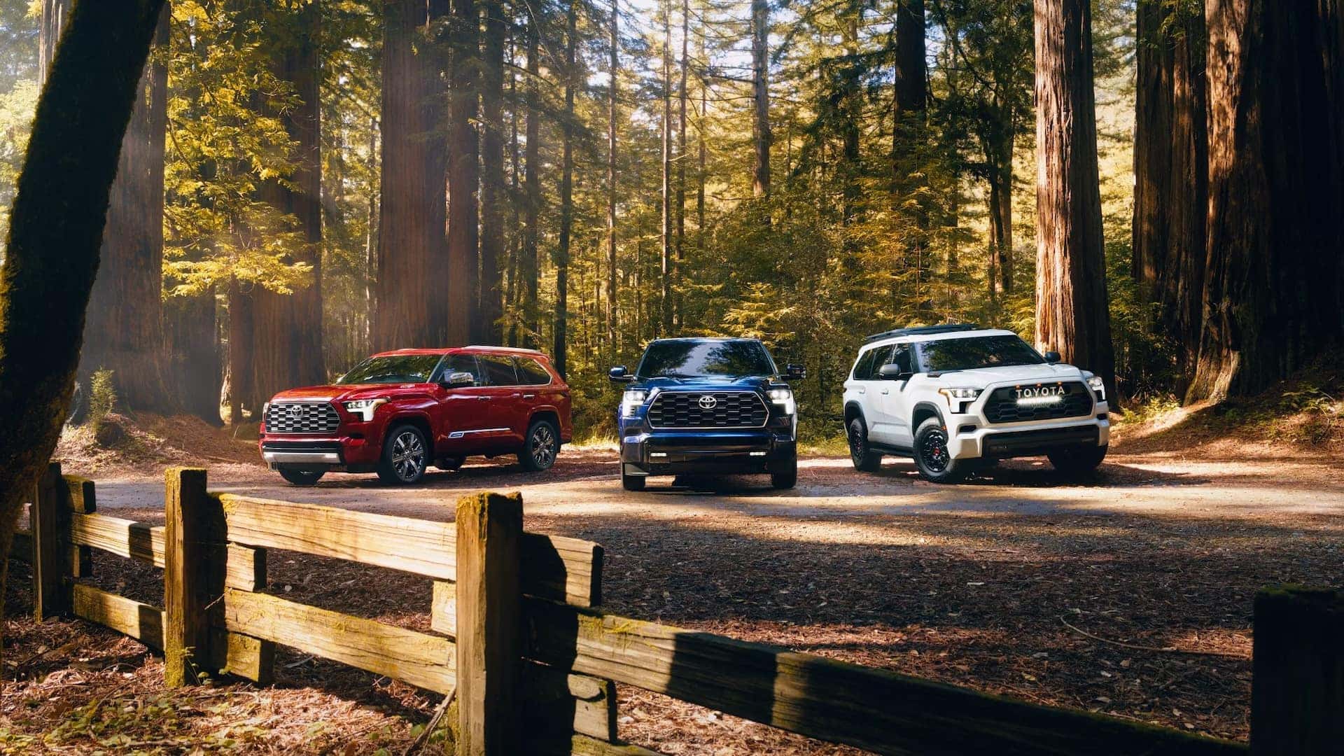 Three New 2025 Toyota Sequoias Near Me in Metairie, LA
