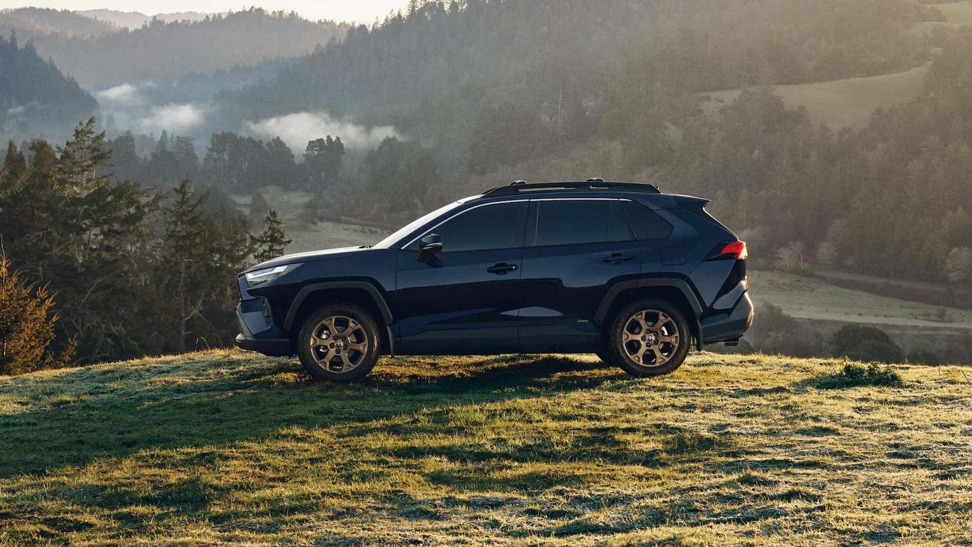 New Blue 2025 RAV4 Exterior Nearby Kenner, LA