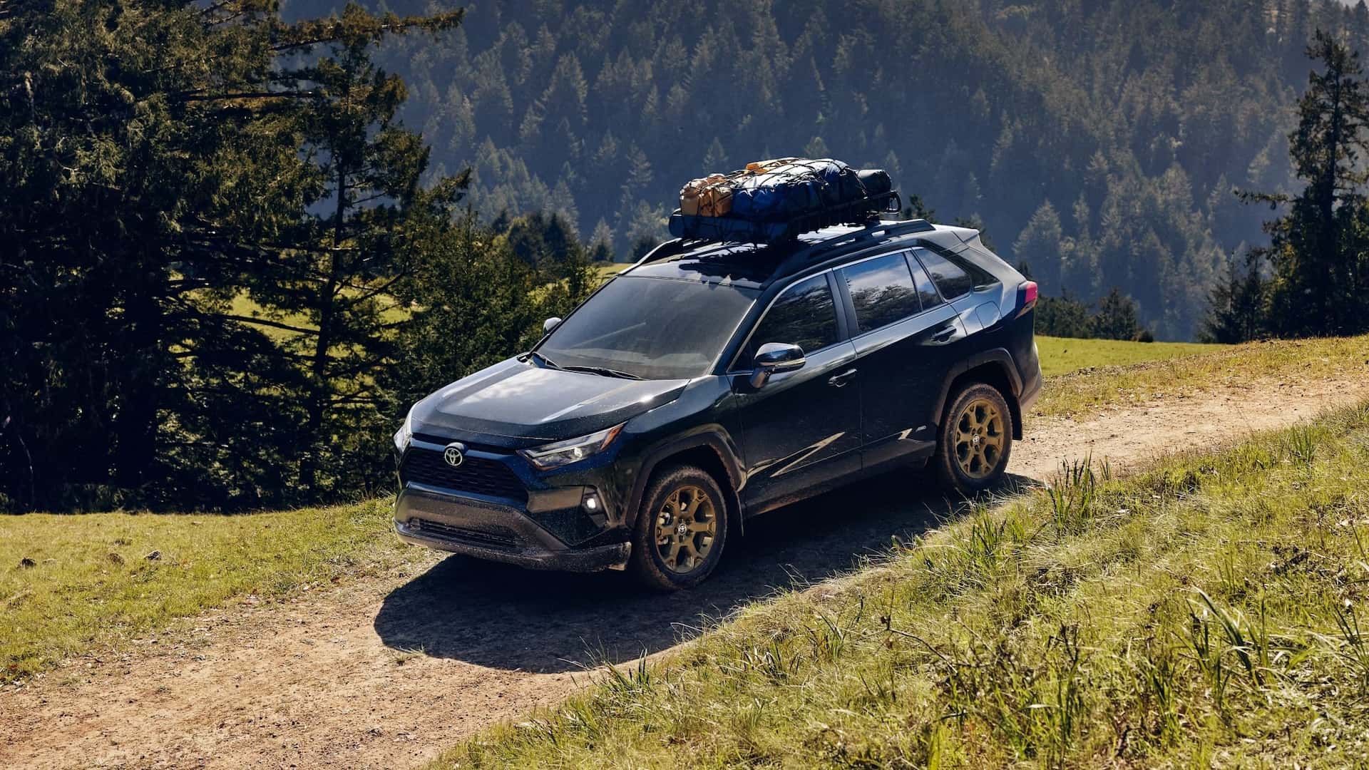 New 2025 RAV4 with cargo rack for sale near New Orleans