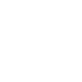 Oil Bottle