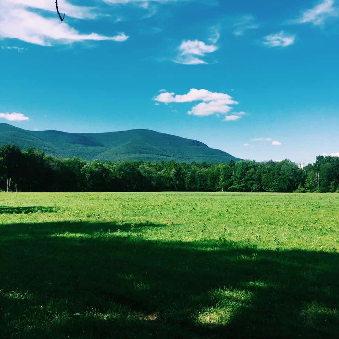 Best 6 Hiking Paths Around Carmel, NY Meadowland of Carmel