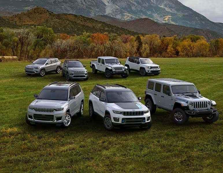 What is a Vehicle Recall? Meadowland of Carmel