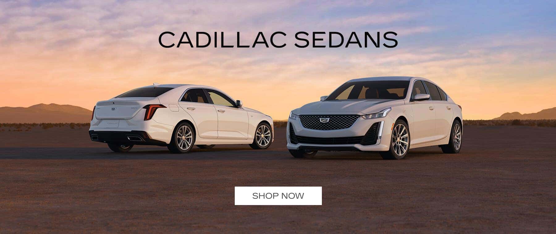 MDCA-Cars-SL Banner 1800×760