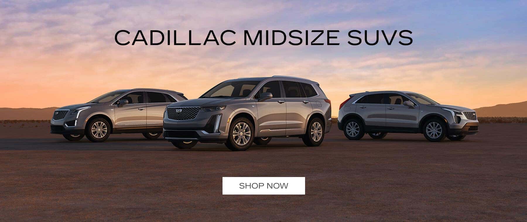 MDCA-SUVs-SL Banner 1800×760
