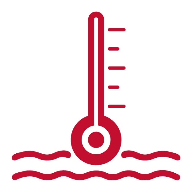 Temp Icon