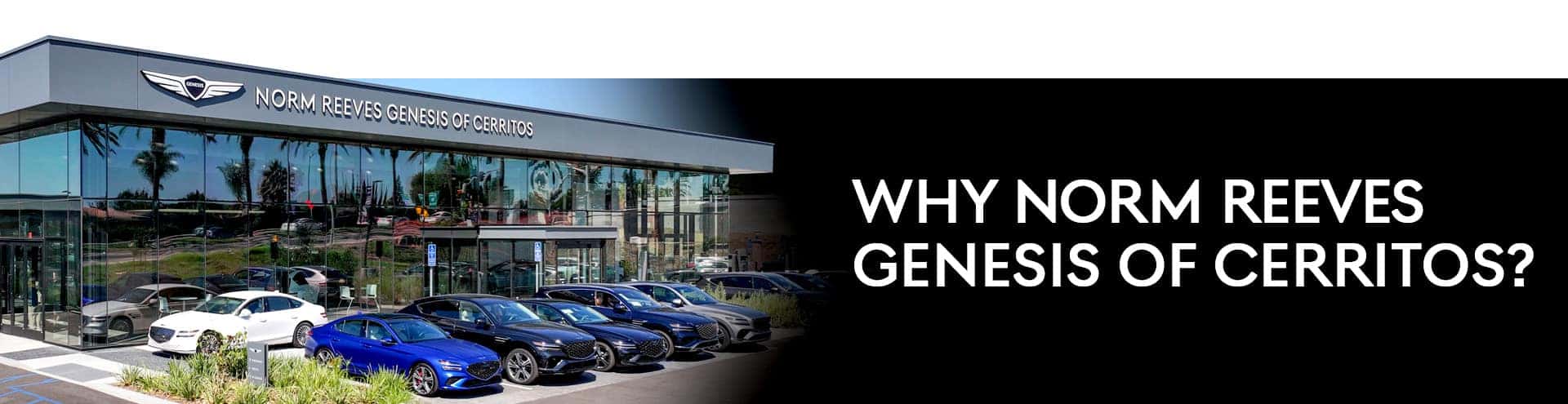 Why Buy