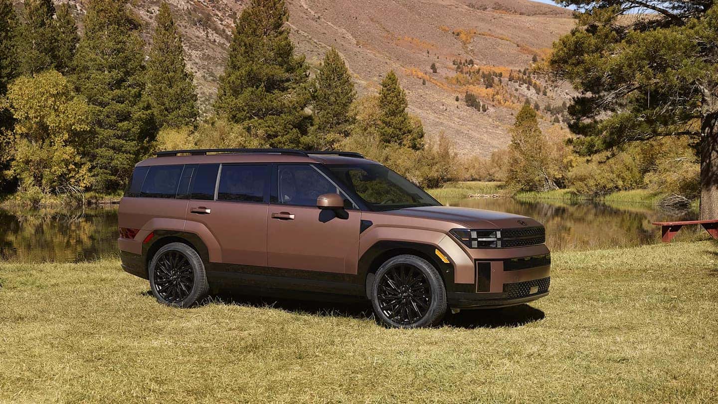 A brown Hyundai Santa Fe parked in a field