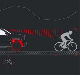 CANYON PRO SAFETY