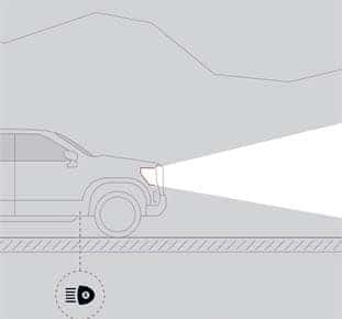 CANYON PRO SAFETY