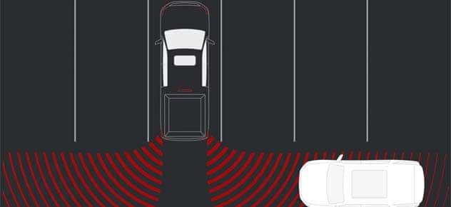 CANYON SAFETY PLUS
