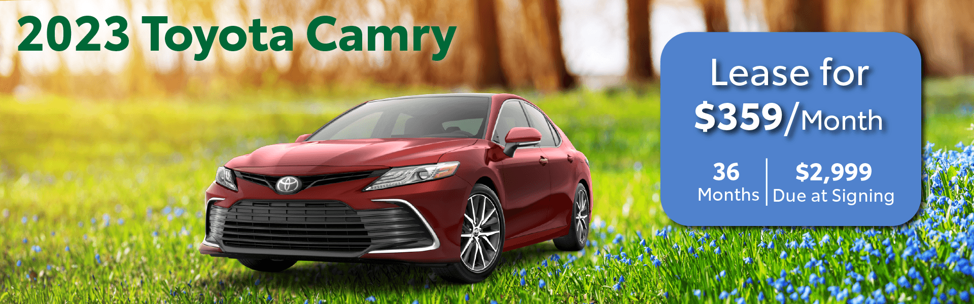 silsbleasecamry
