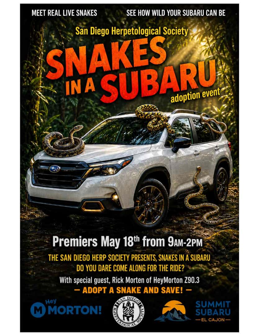 snake in a subaru 
