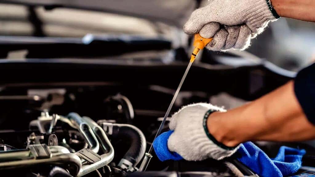 A technician checking a vehicle's engine oil level