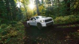 Toyota_Tundra_Driving_In_The_Woods
