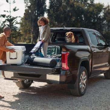 Tundra Hybrid Tailgate